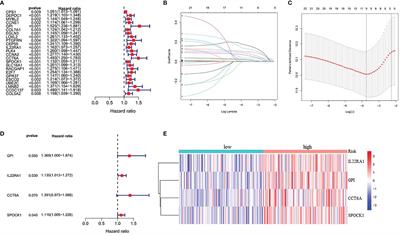 Identification of a Prognostic Signature Composed of GPI, IL22RA1, CCT6A and SPOCK1 for Lung Adenocarcinoma Based on Bioinformatic Analysis of lncRNA-Mediated ceRNA Network and Sample Validation